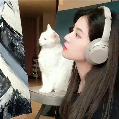 血缘寻亲